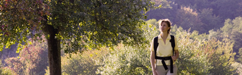 Wald ~ Biofeedback Bad Nauheim
